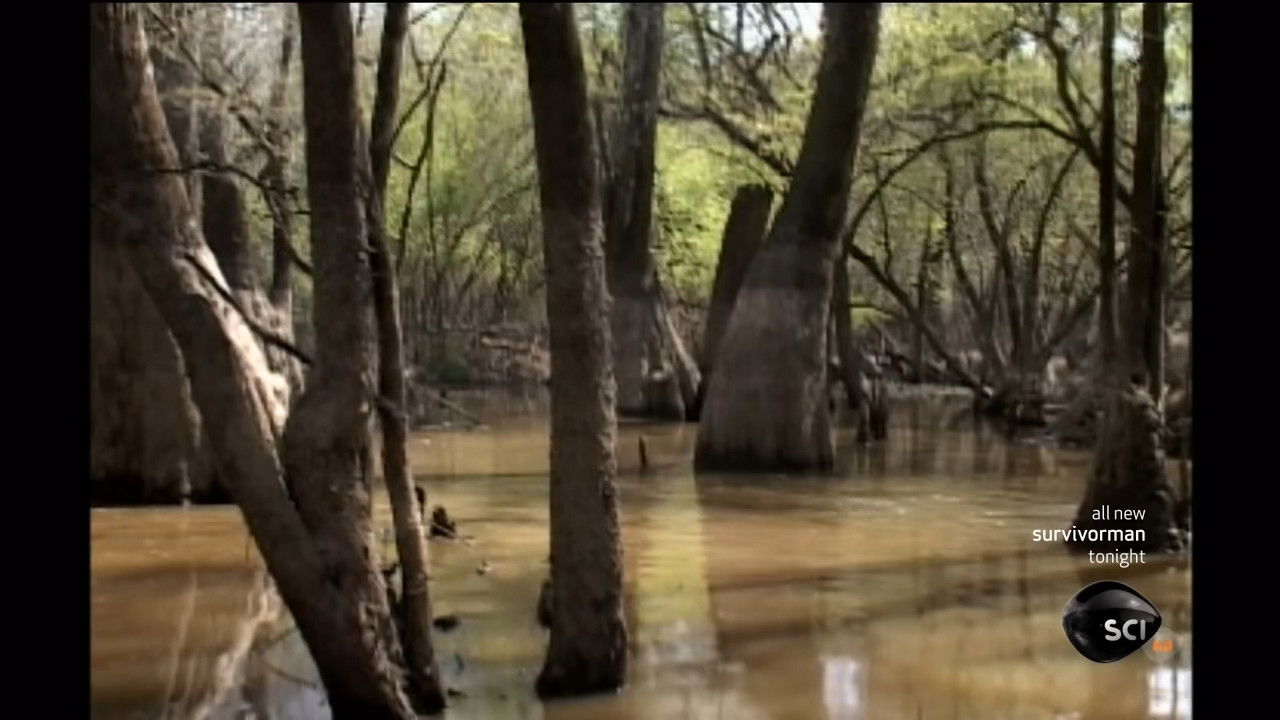 Georgian Swamp still