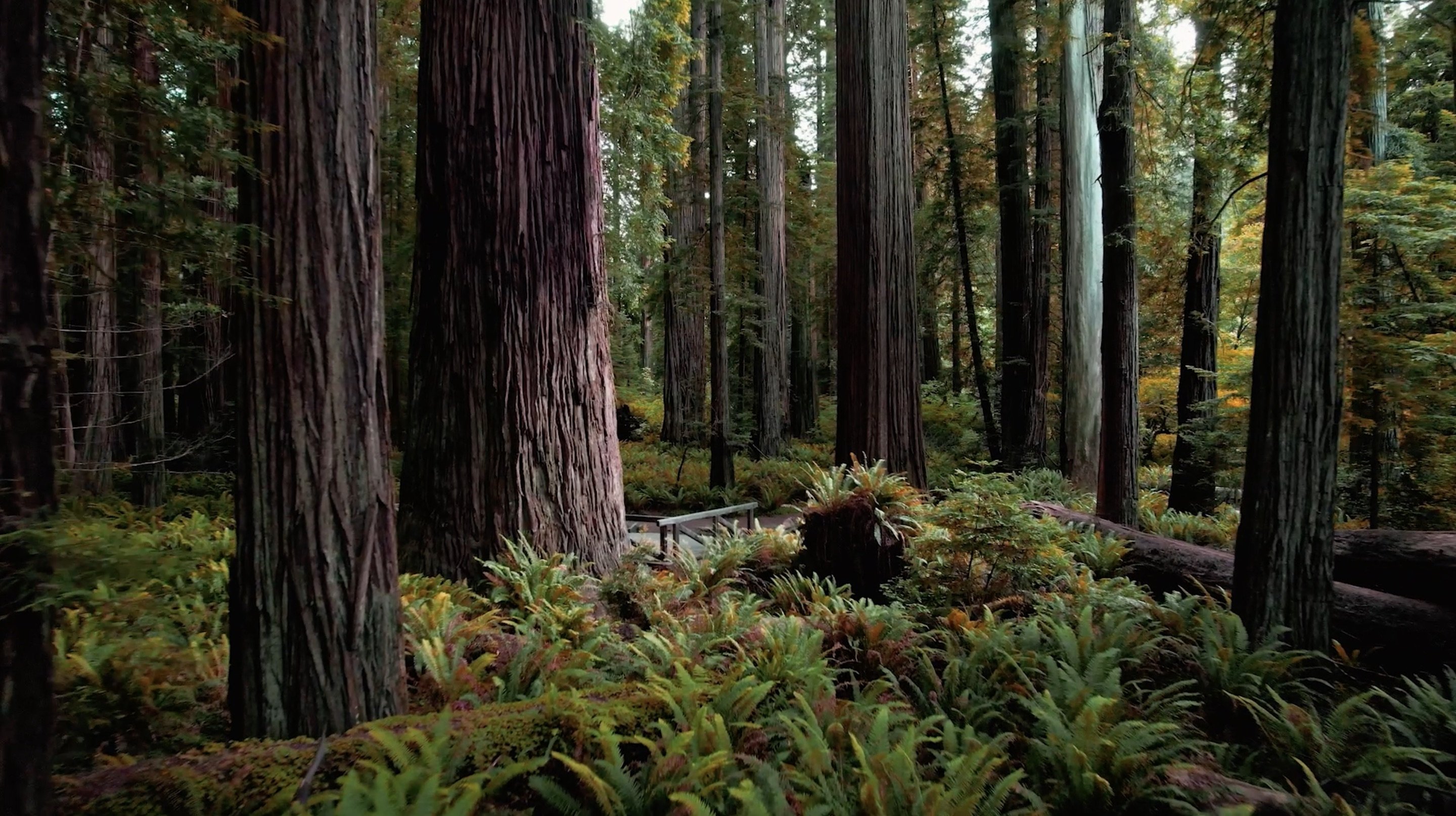 Imagem do Filme 'A'-t'i Xwee-ghayt-nish: Still, We Live On