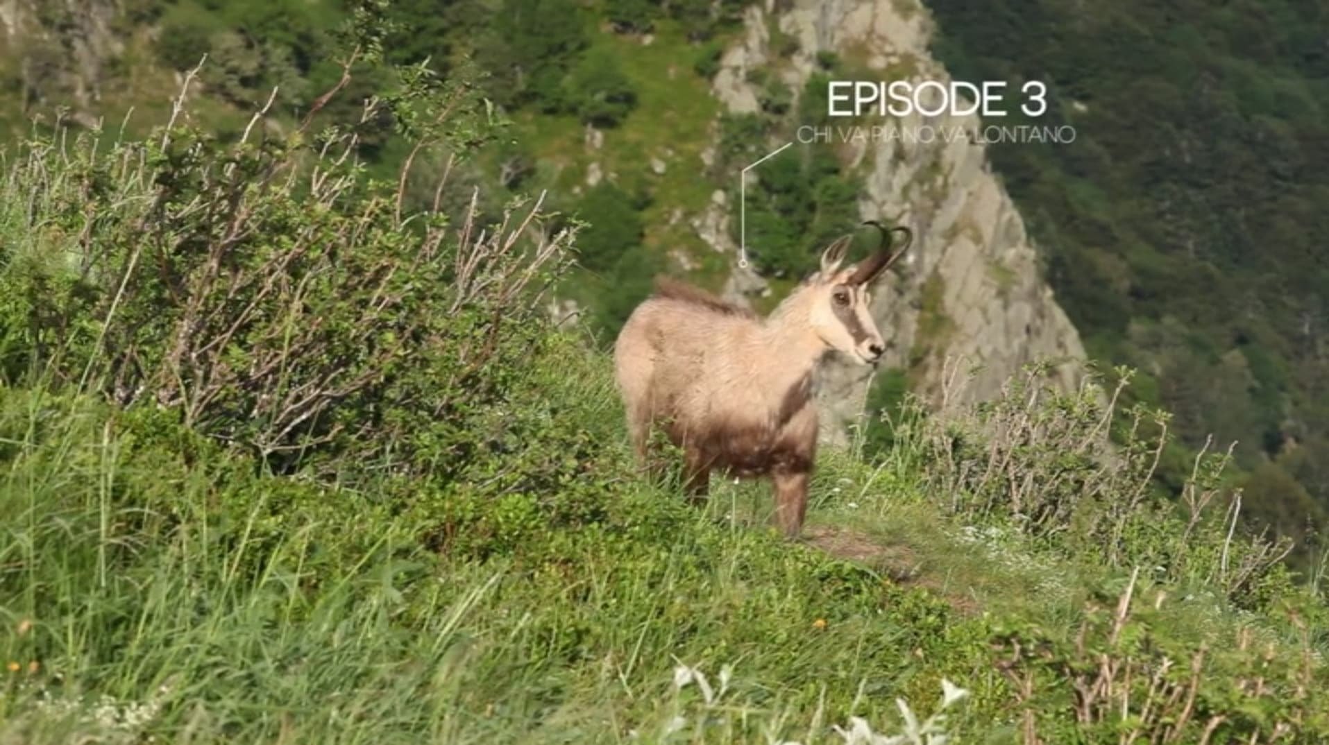 Thumbnail for Episode 3 Season 1 Episode 3