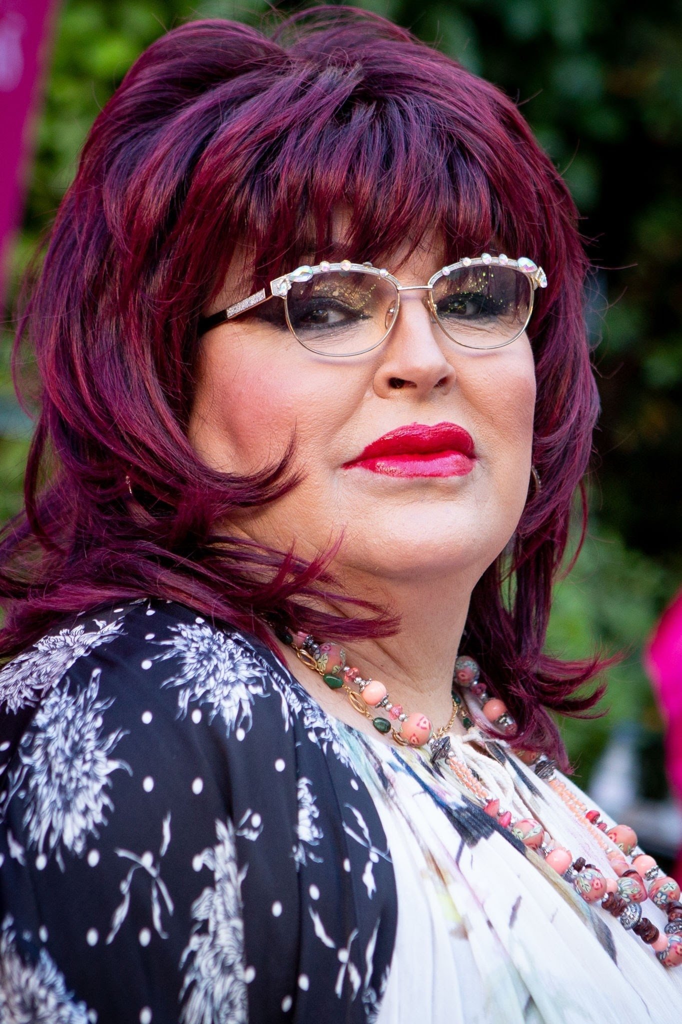 et billede af Paca la Piraña