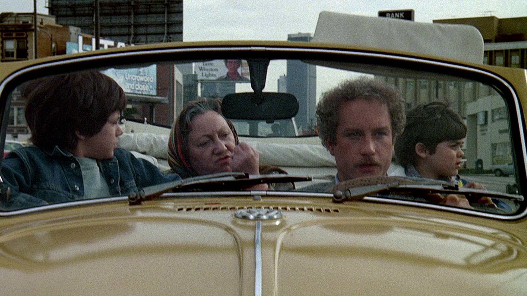The Big Fix (1978)