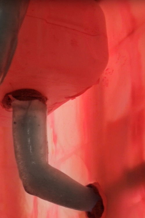 Plakat, der markedsfører 