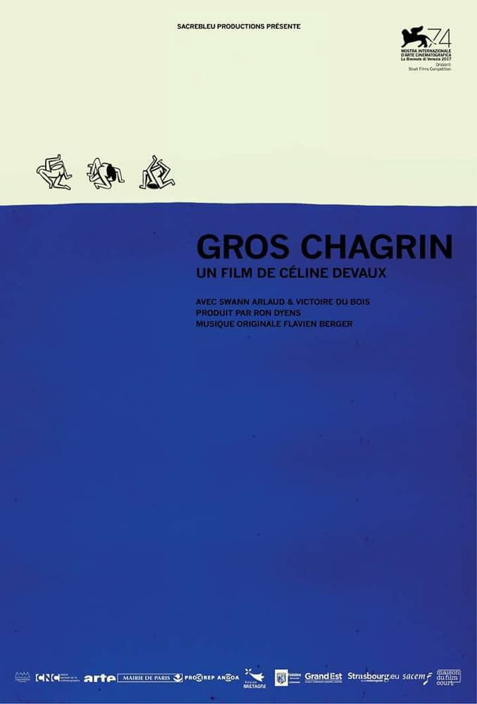 Affiche du film Gros Chagrin 26460