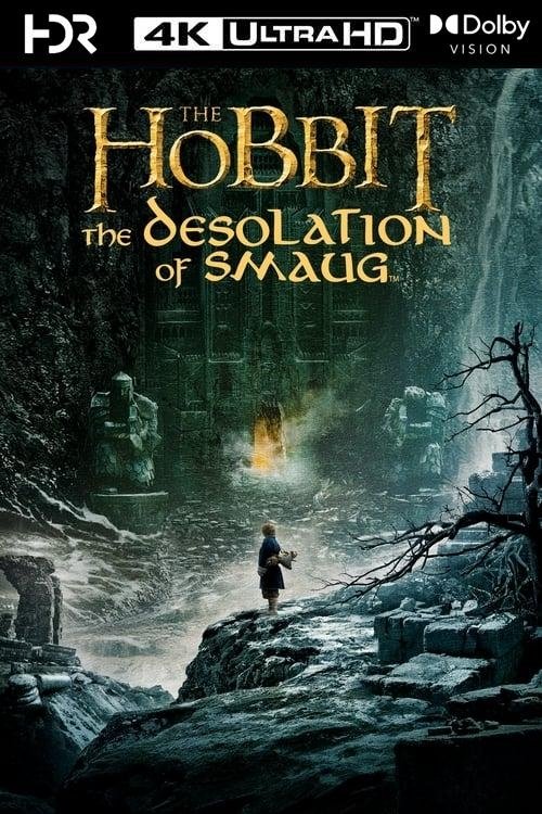 The Hobbit: The Desolation of Smaug