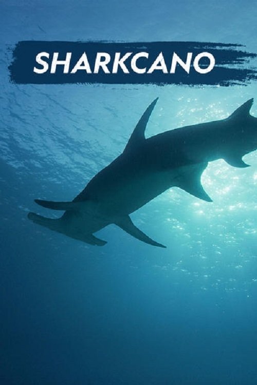 Sharkcano Sharkcano