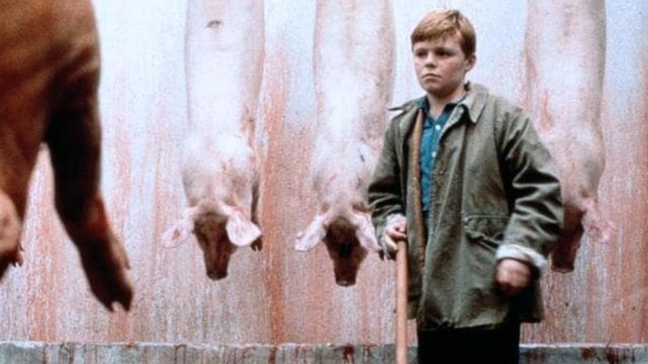 Image du film Butcher Boy cpny6wcdhjnuv2nfnoitkdrkm3jpg