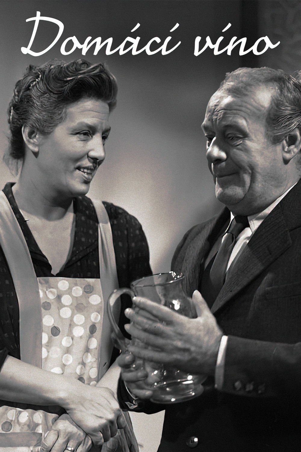 Domácí víno image