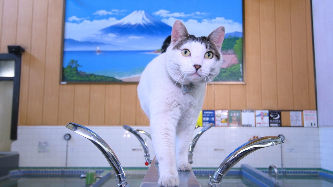 A Cat's-Eye View of Japan - Épisode 3