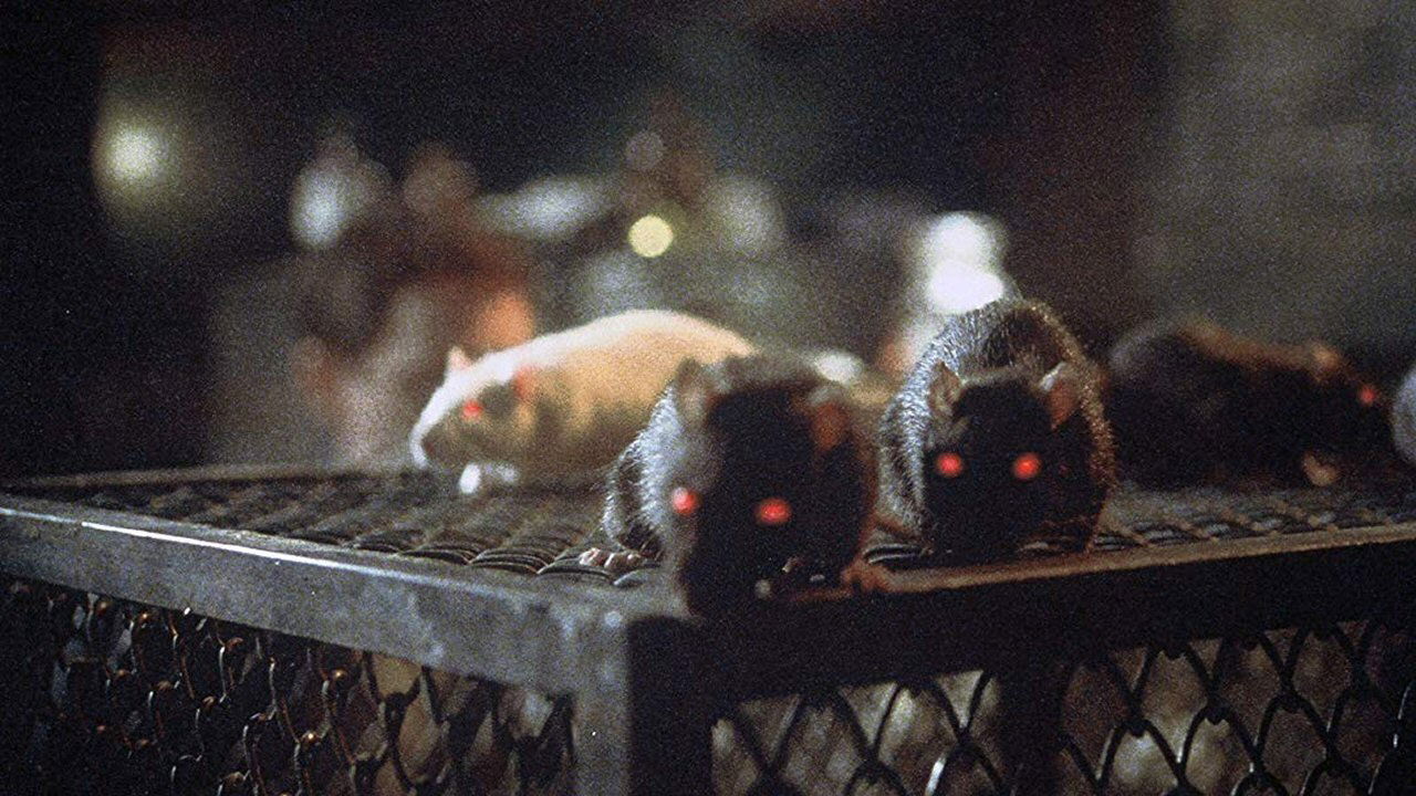 Rats (2003)