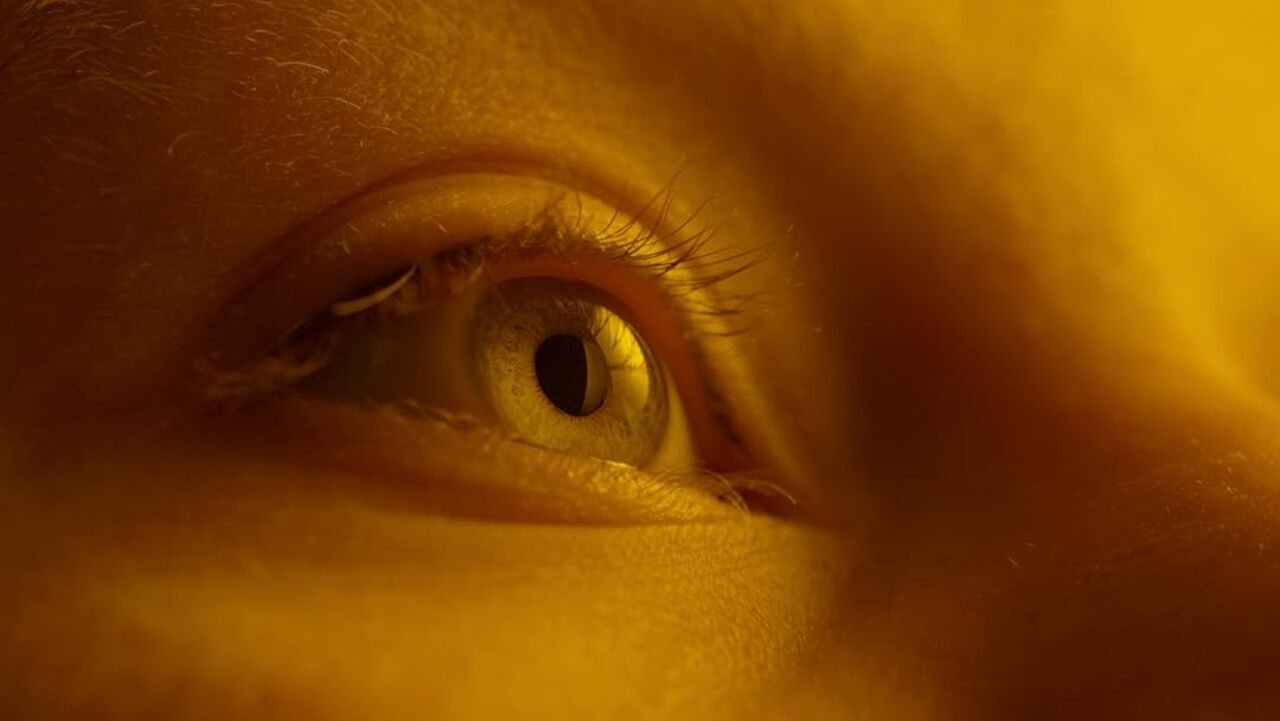 The First Taste (2022)