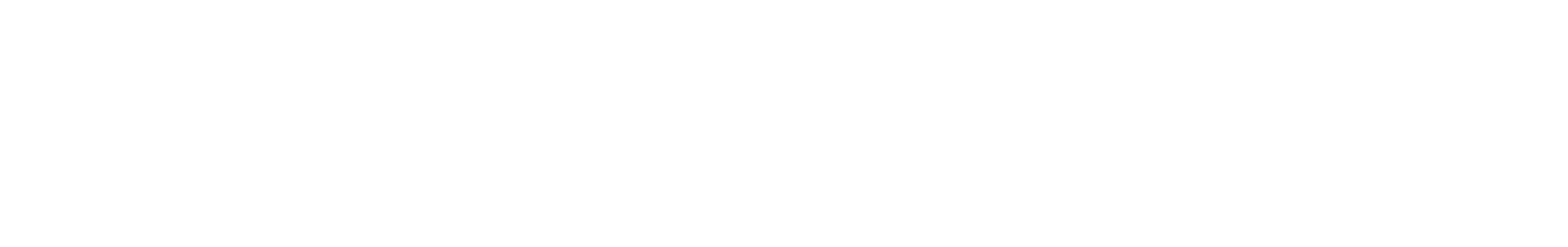 About Schmidt Logo