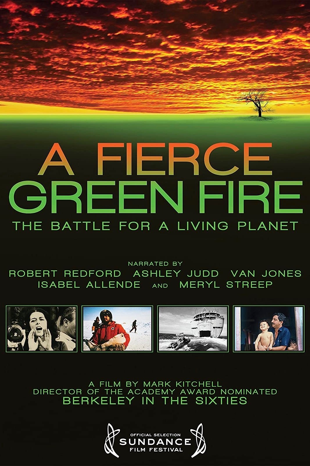 A Fierce Green Fire
