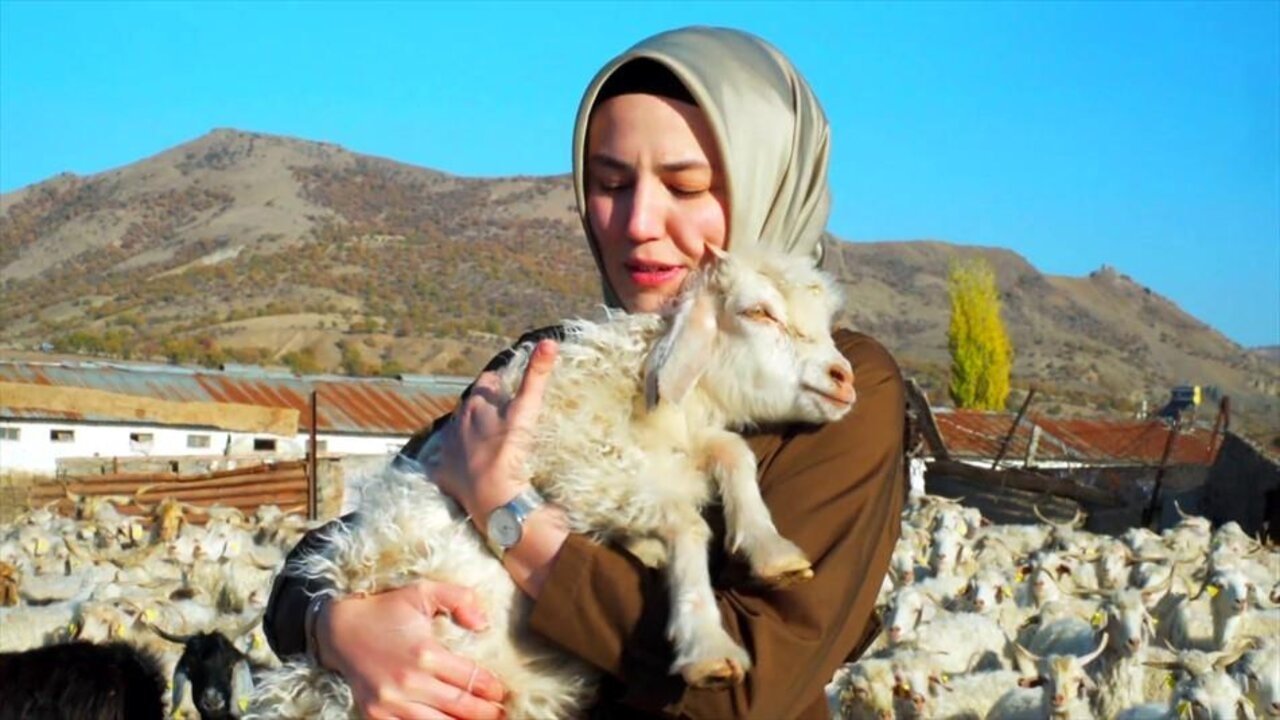 İlmek İlmek Anadolu backdrop