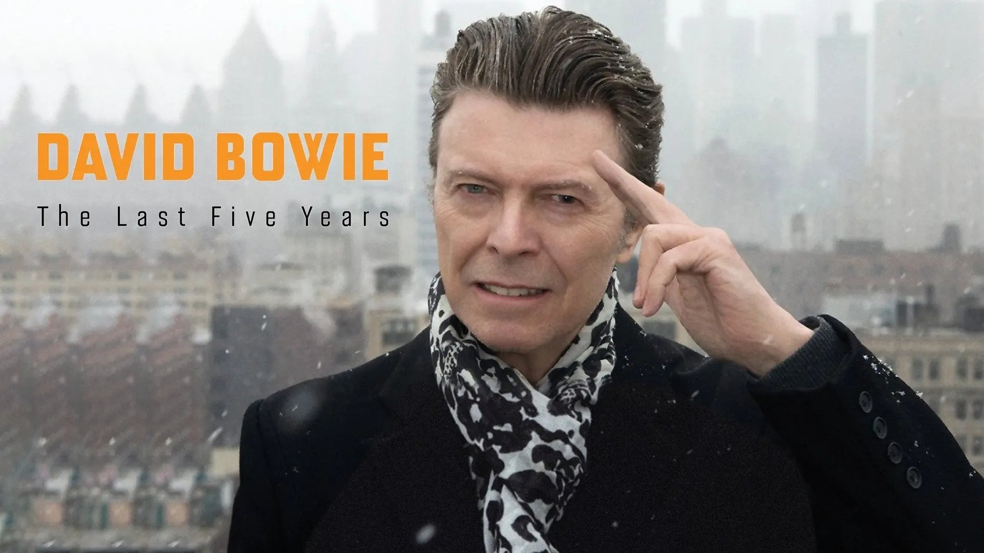 David Bowie: The Last Five Years (2017)