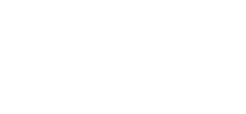 The Charge of the Light Brigade