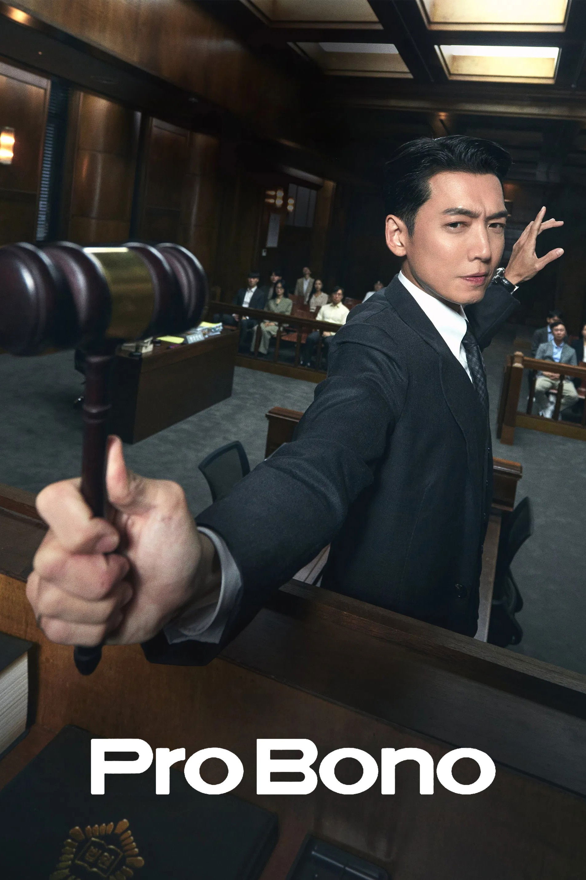 Pro Bono (2025 )