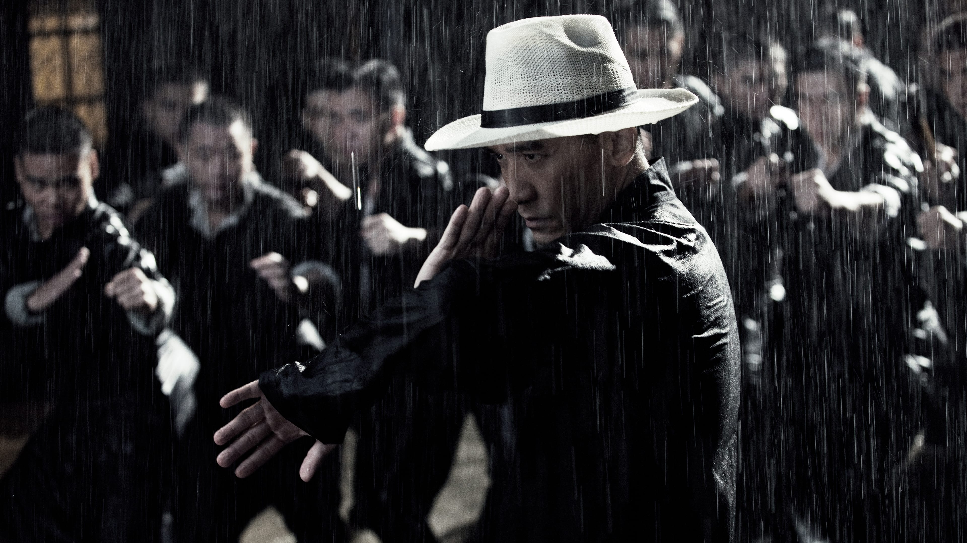 Image du film The Grandmaster h4mltetxbpjumrnyl0mvqw1ednjpg