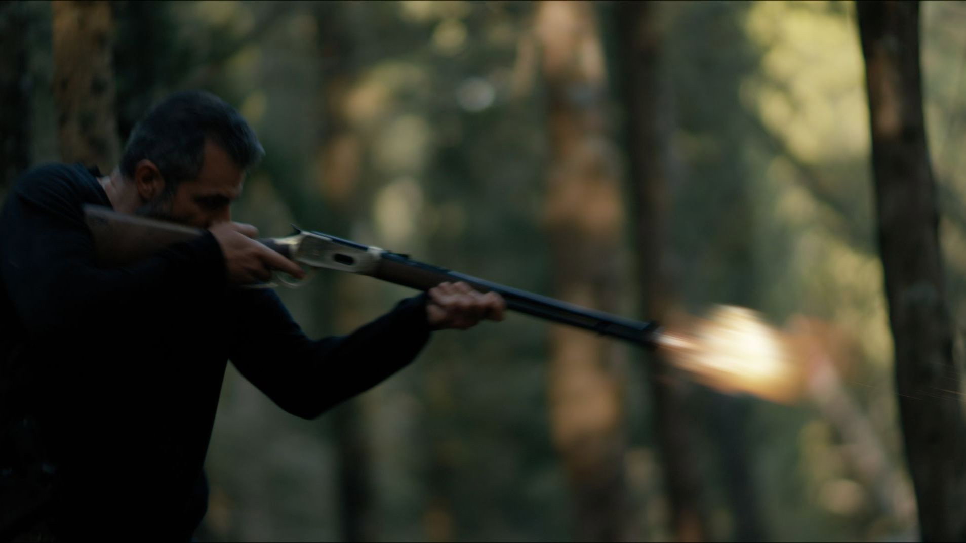 Secret of the Forest