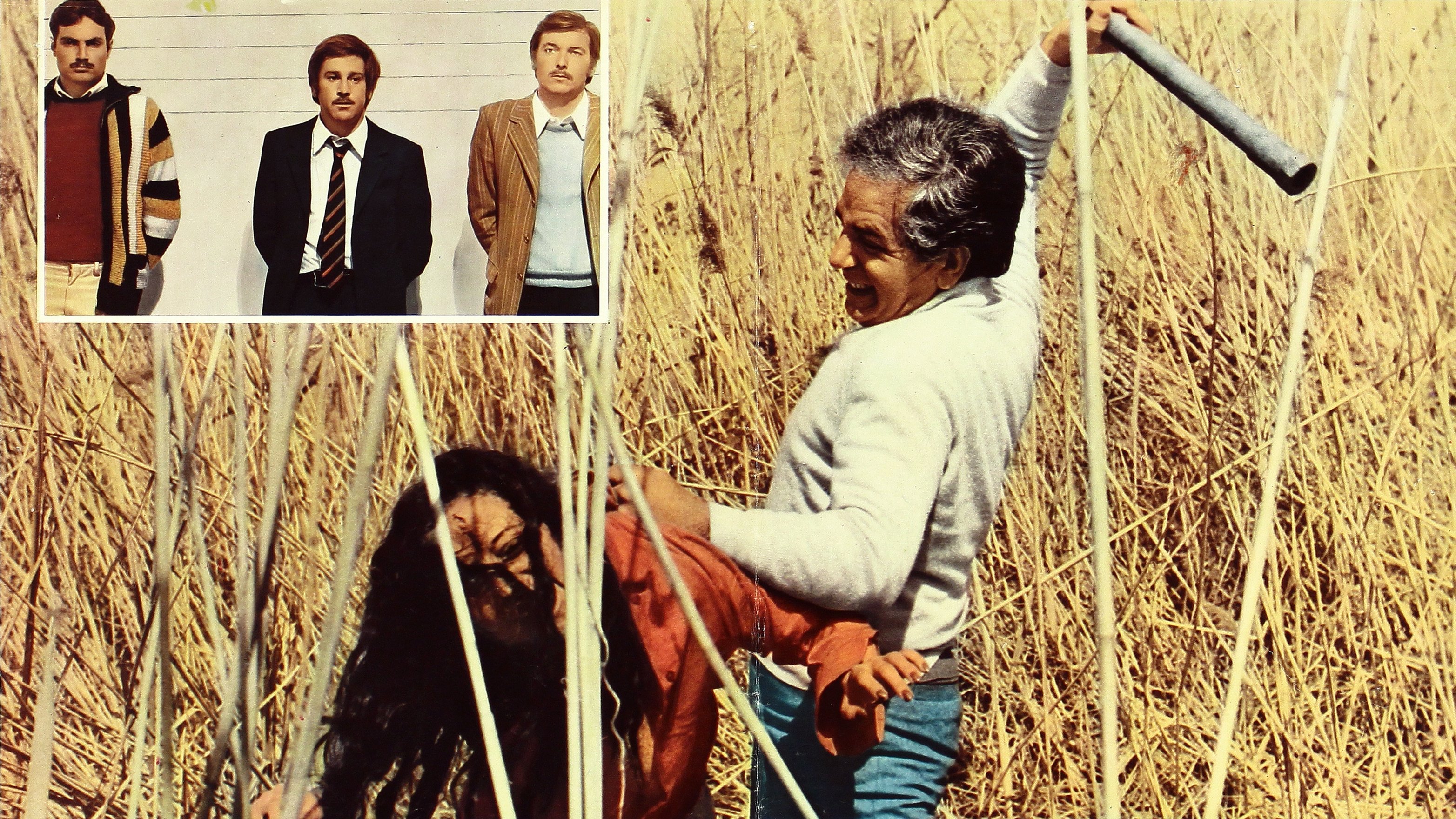 No, il caso è felicemente risolto (1973)