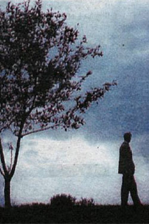 Content cover