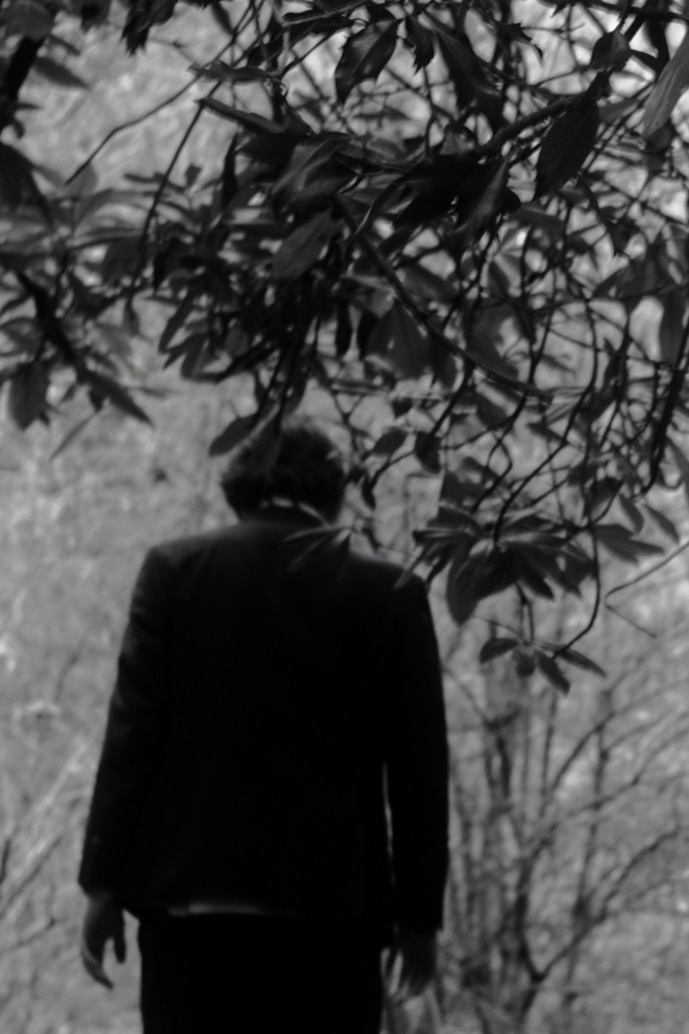 I’ll Be Your Mirror