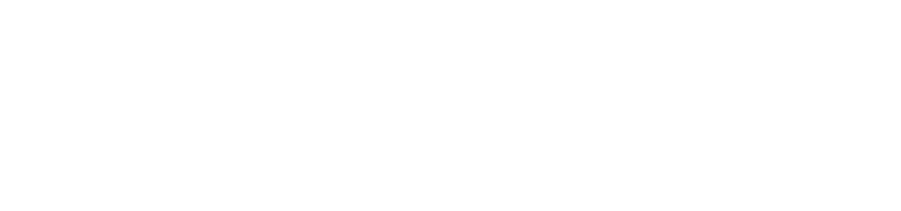 Cousins Undercover Logo