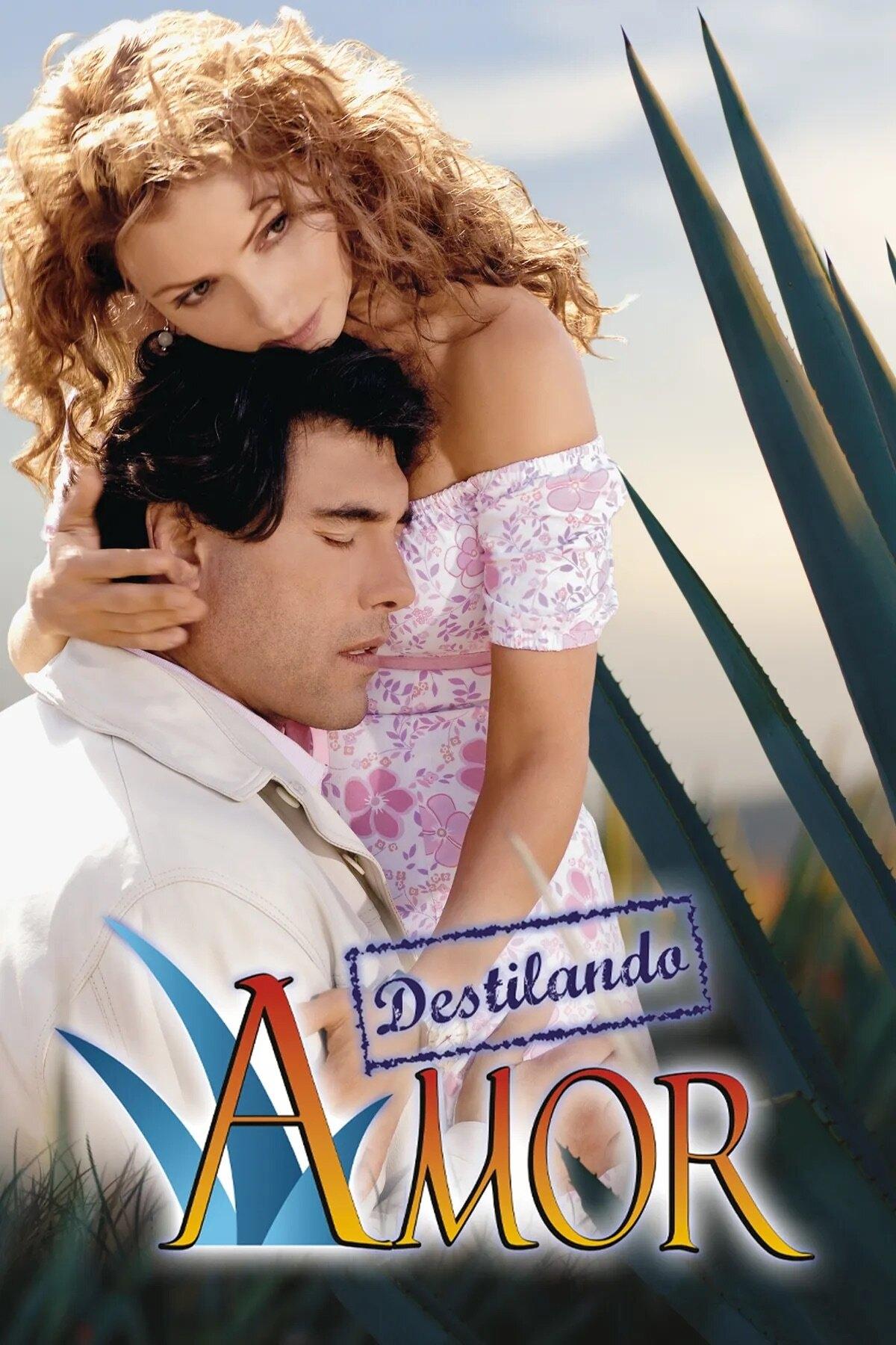 Distilling Love poster cover