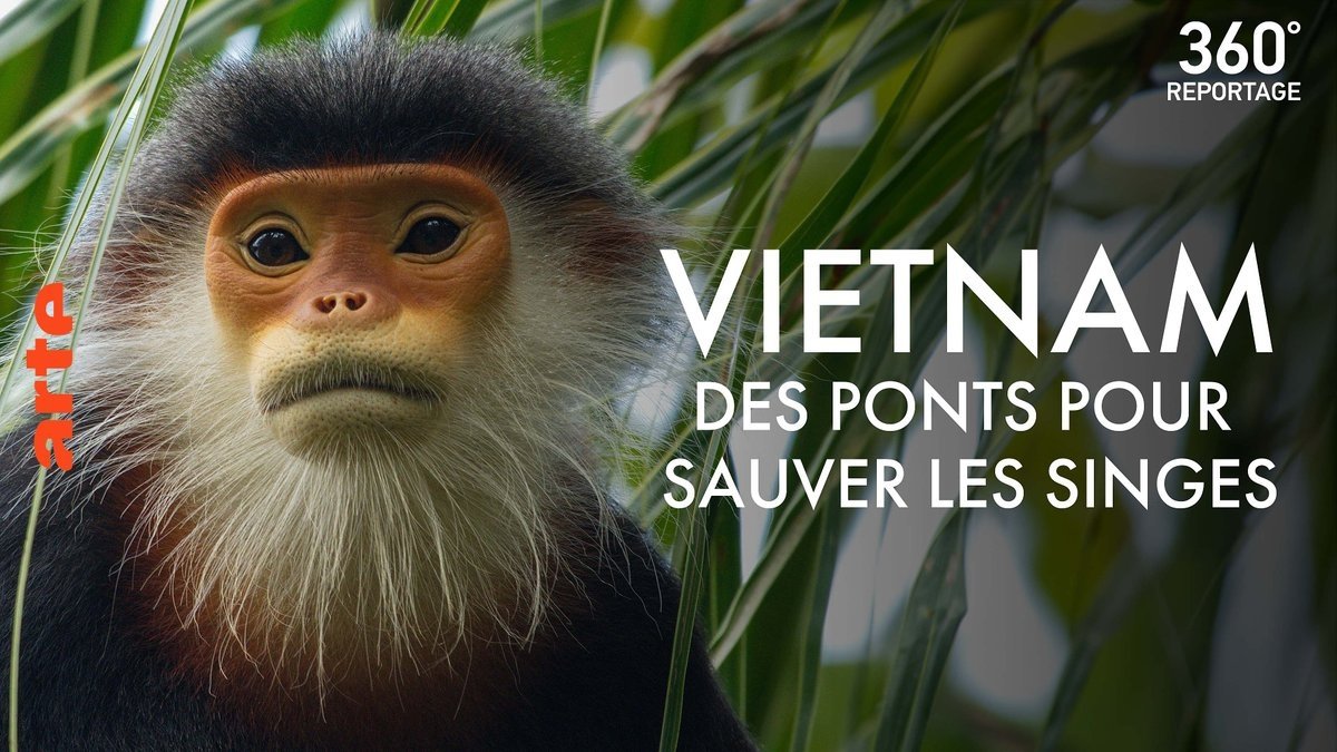 360° - Die GEO Reportage
