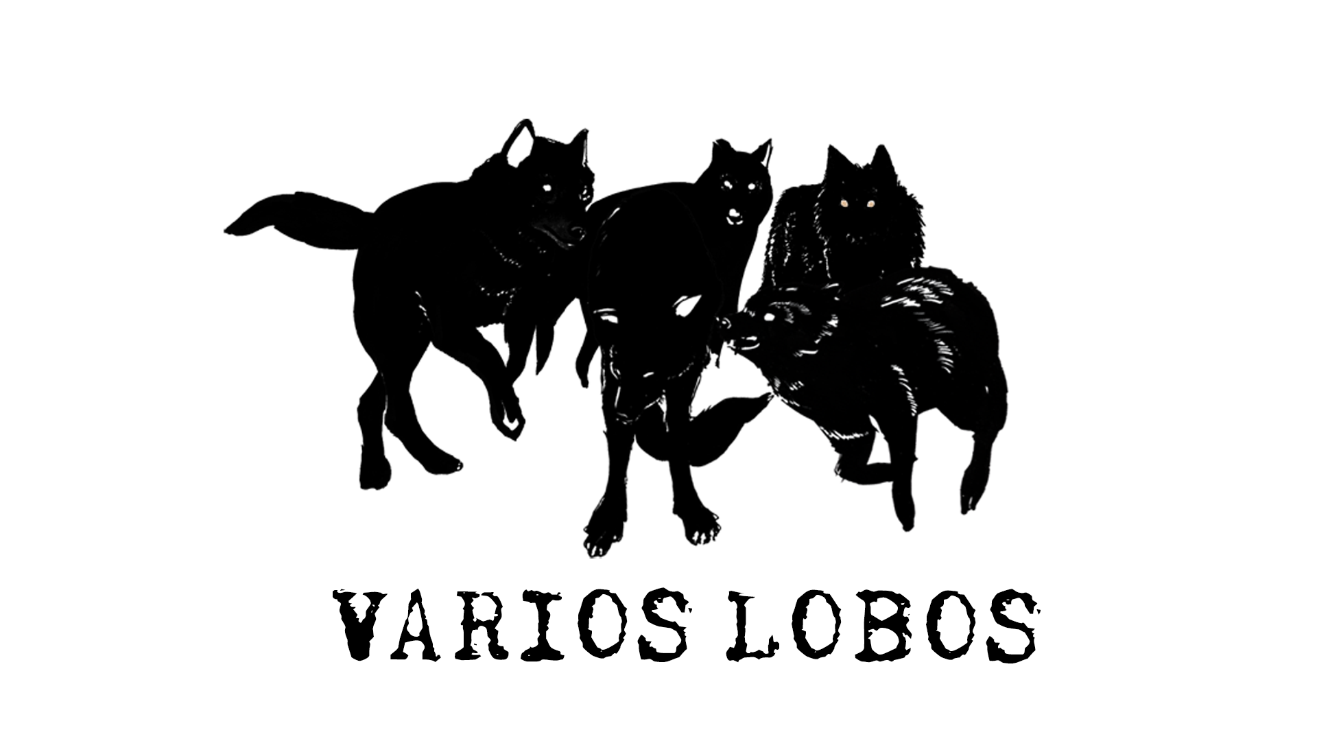 Logo de la société Varios Lobos 8699