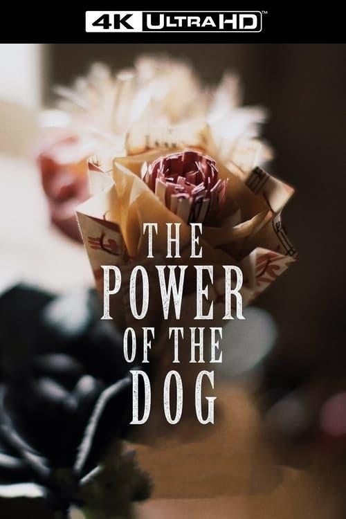 The Power of the Dog