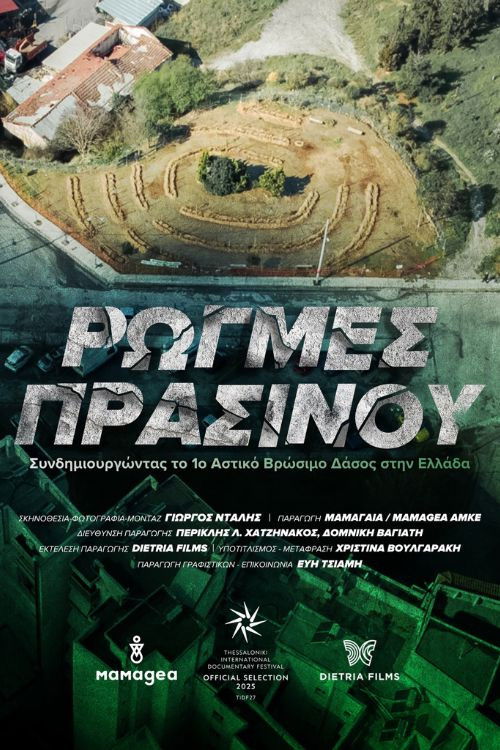 CRACKS OF GREEN: The Co-creation Of The 1st Urban Food Forest In Greece