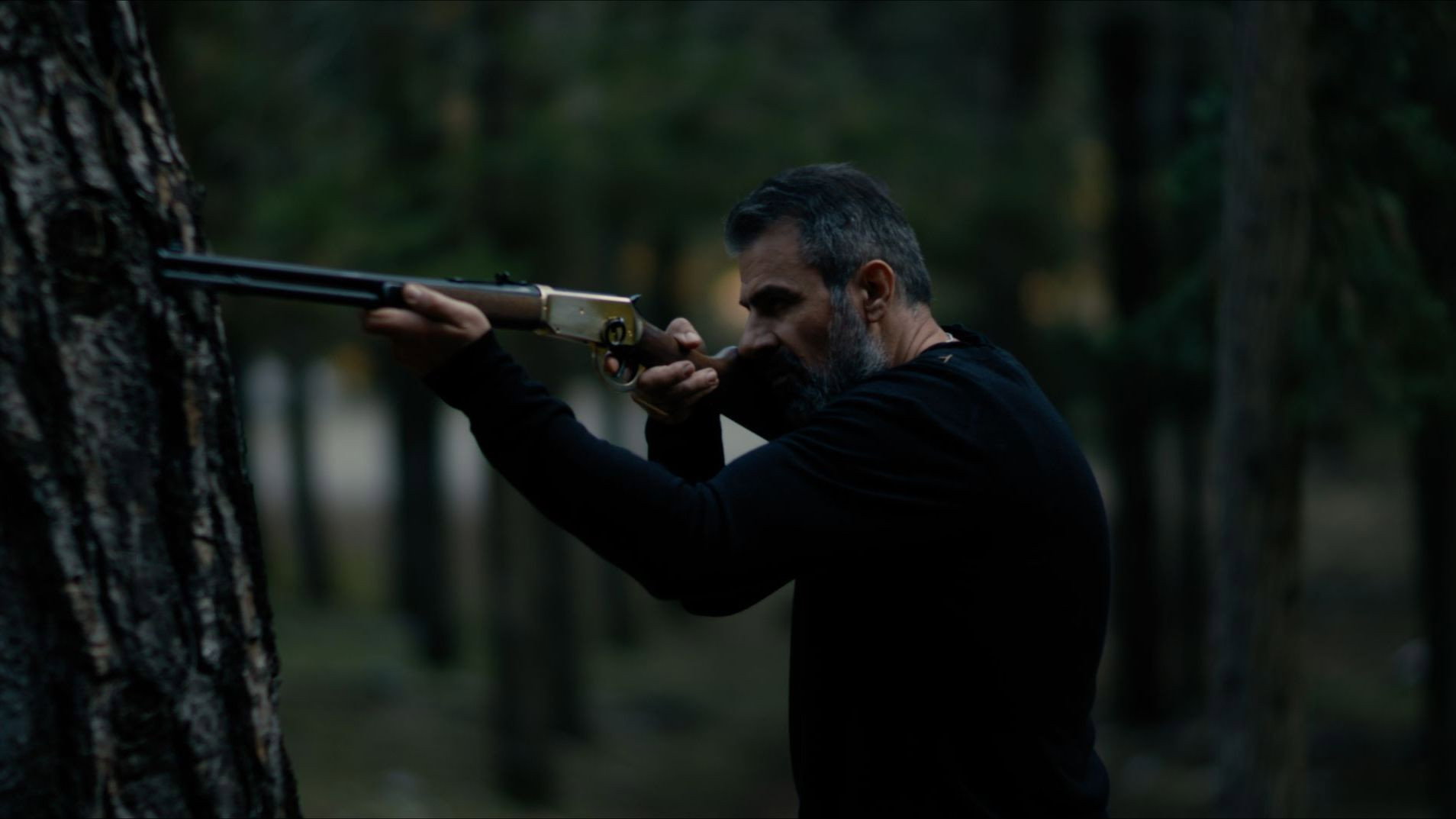 Secret of the Forest