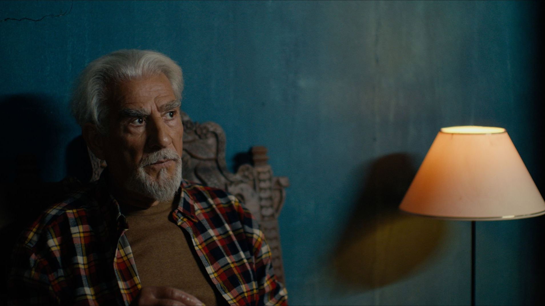 Secret of the Forest