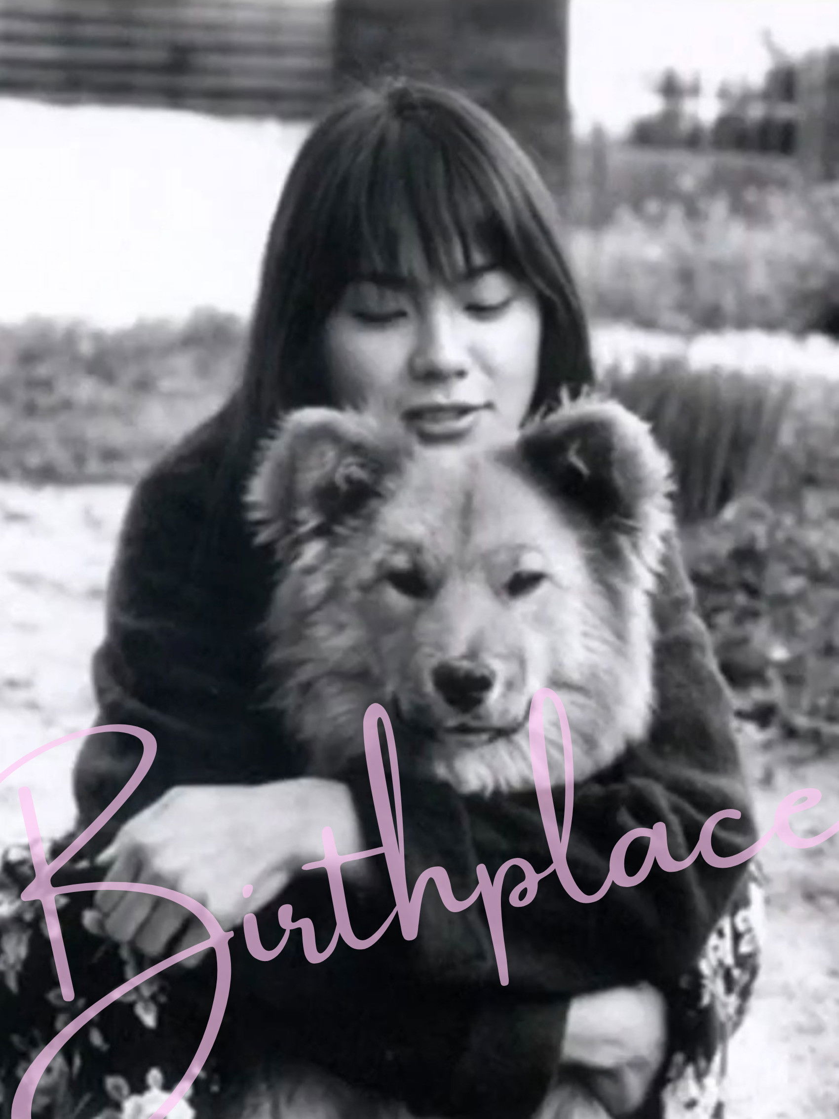 Birthplace (2003) movie poster