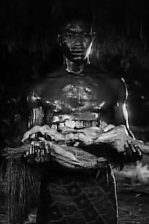 et billede af Curtis Nero