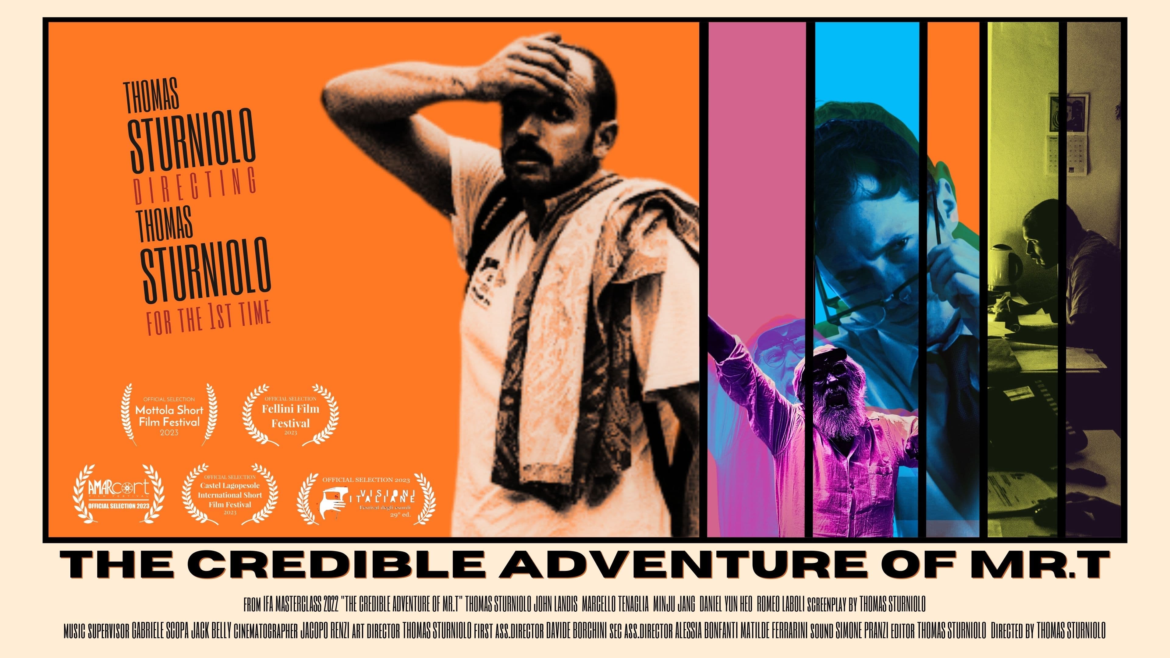 The Credible Adventures of Mr. T