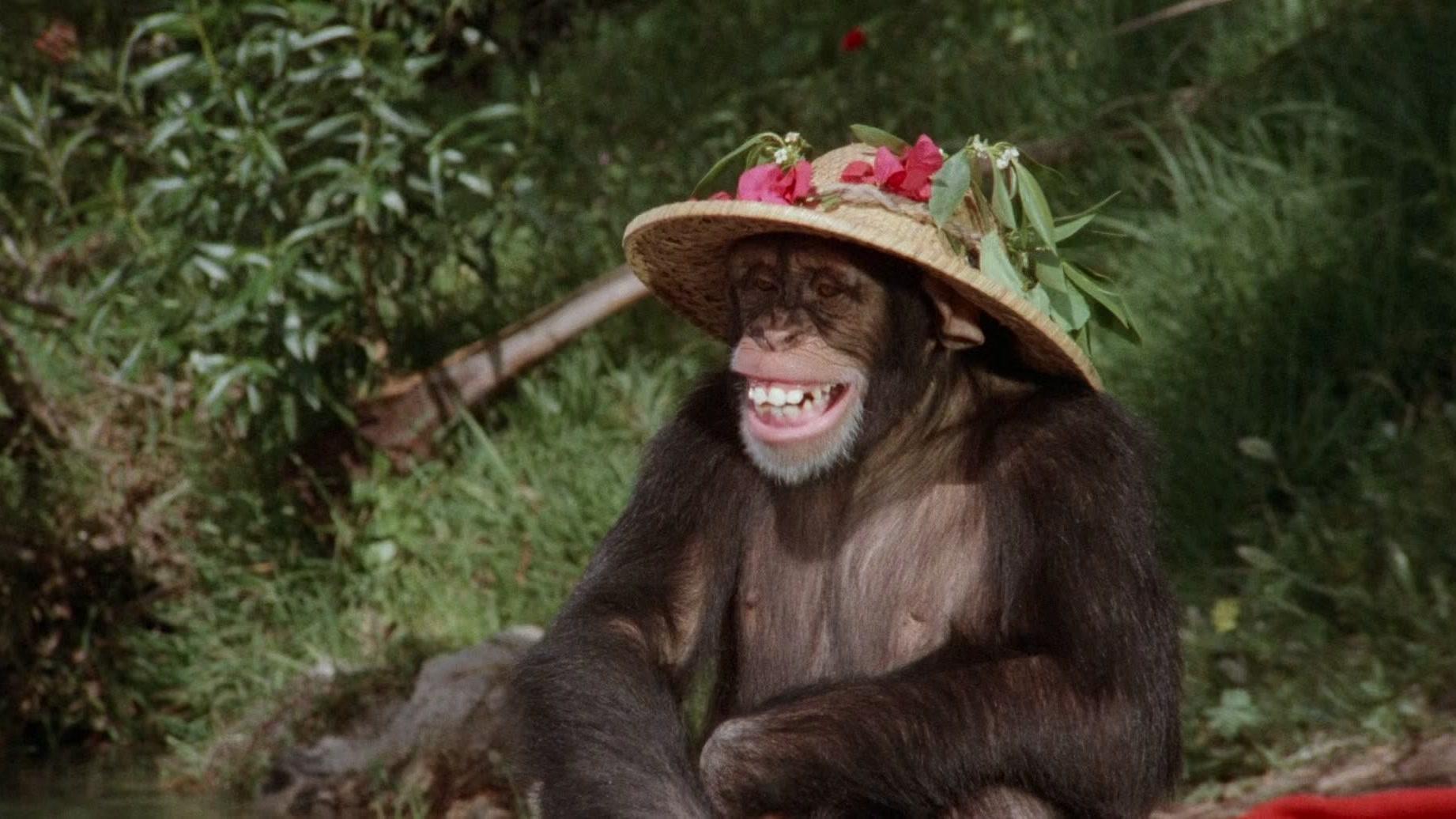 Paradise (1982)