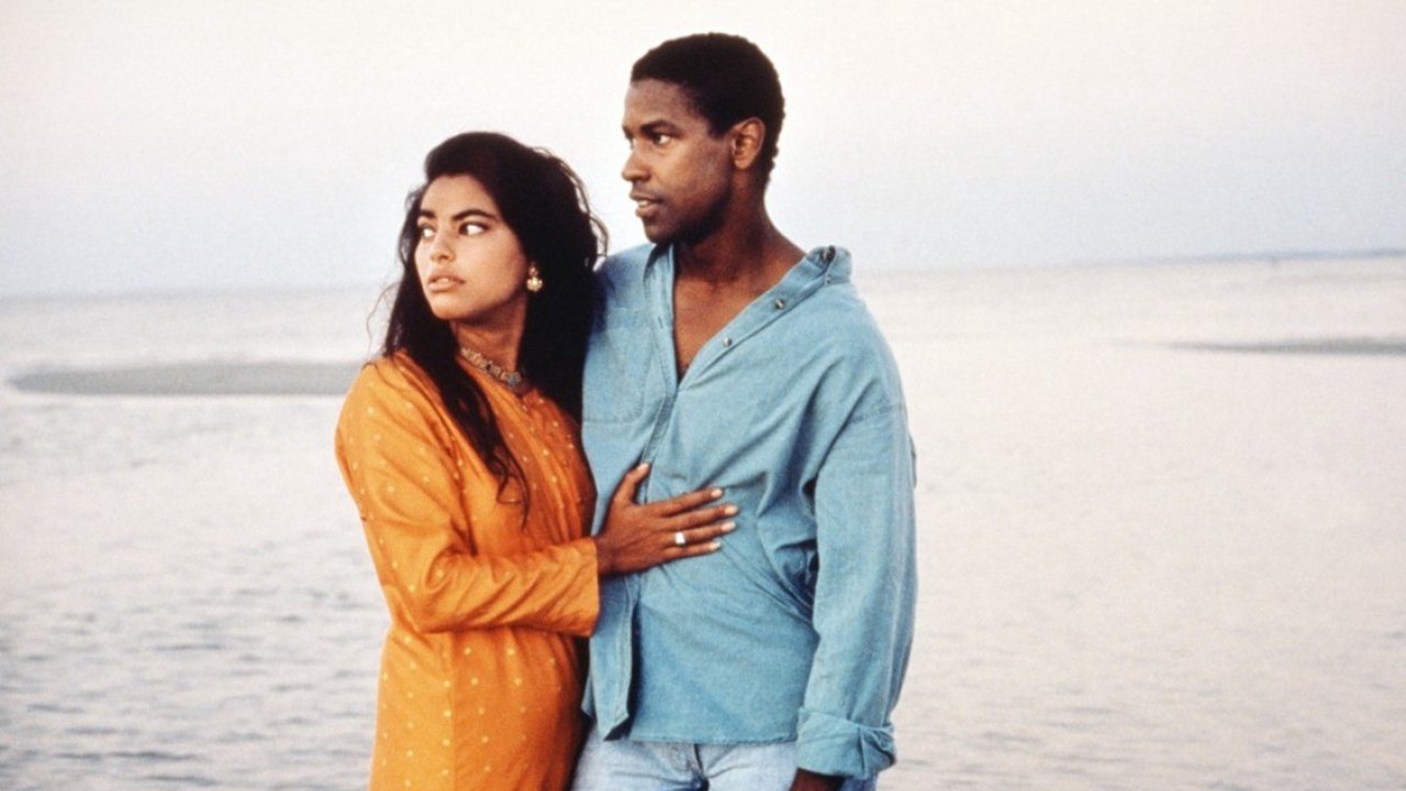 Mississippi Masala (1991)