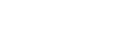 Dallas & Robo Logo