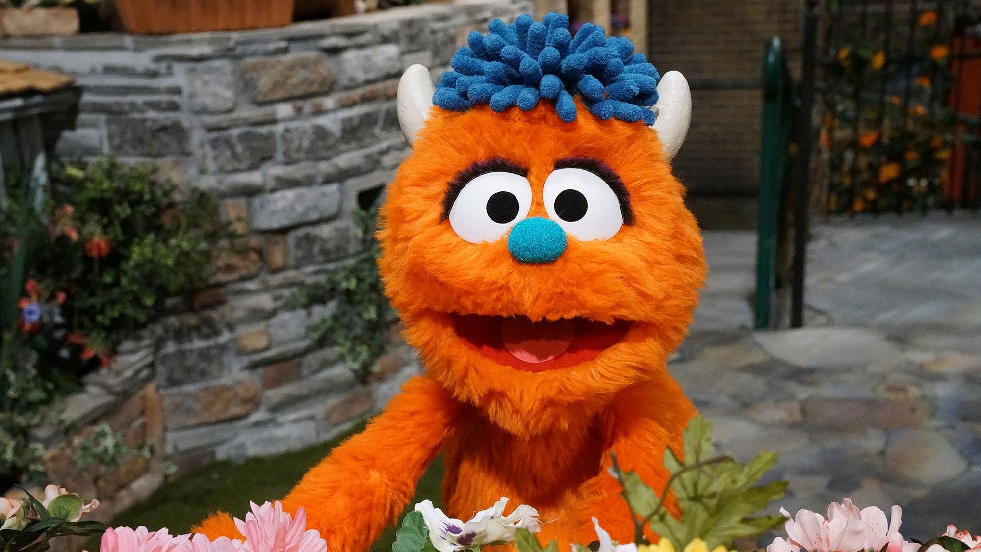 Sesame Street