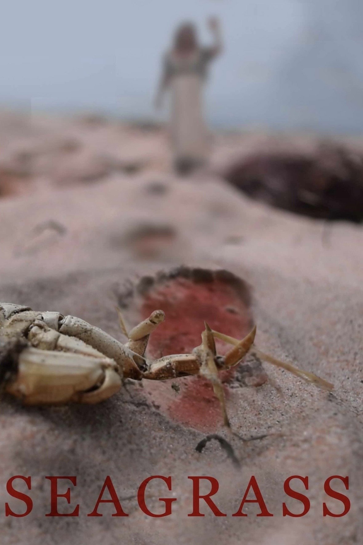 poster movie Seagrass