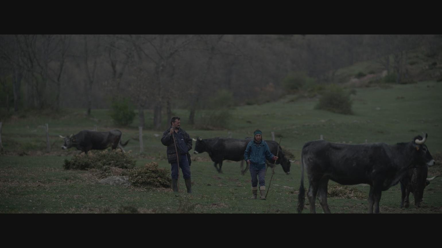 El molino (2024)