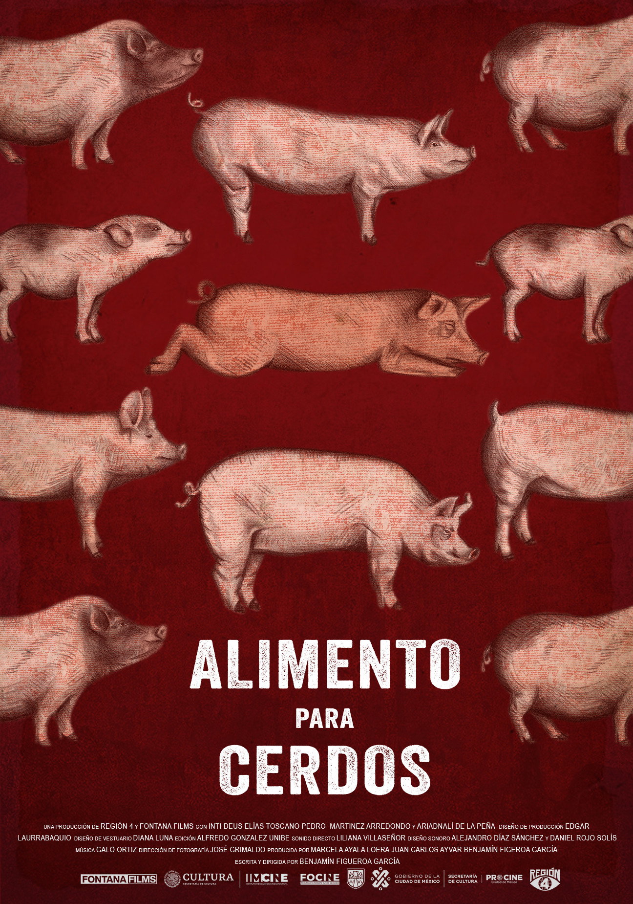 Alimento para cerdos