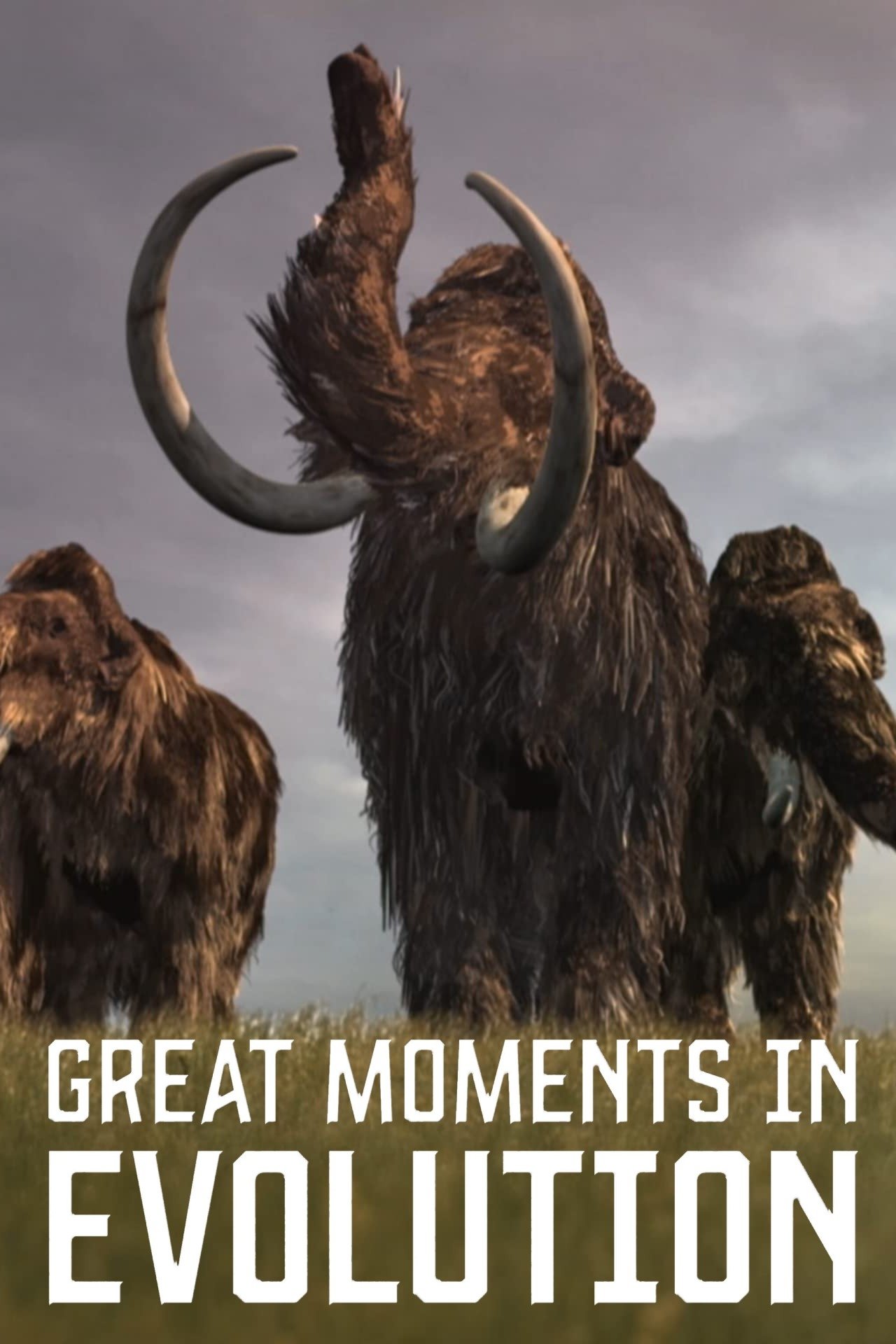 Great Moments in Evolution