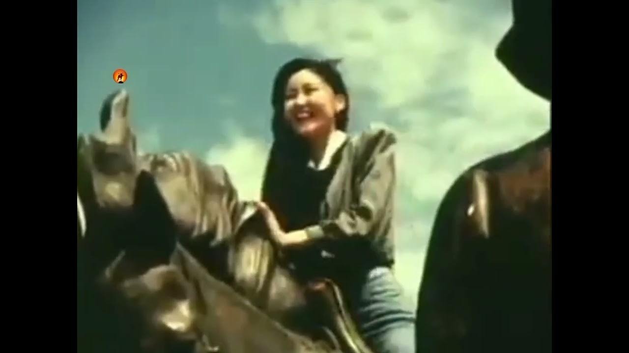 In the Direction of the Day Stars (1995)