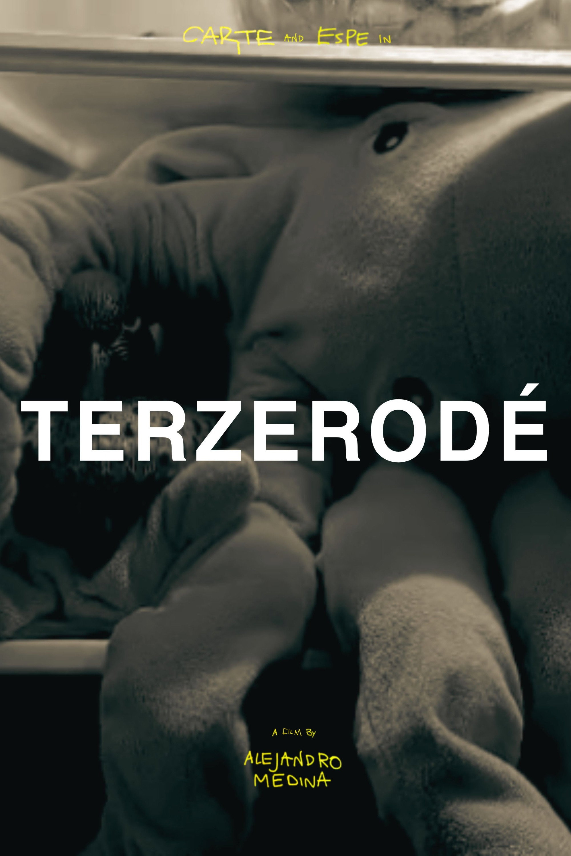Terzerodé