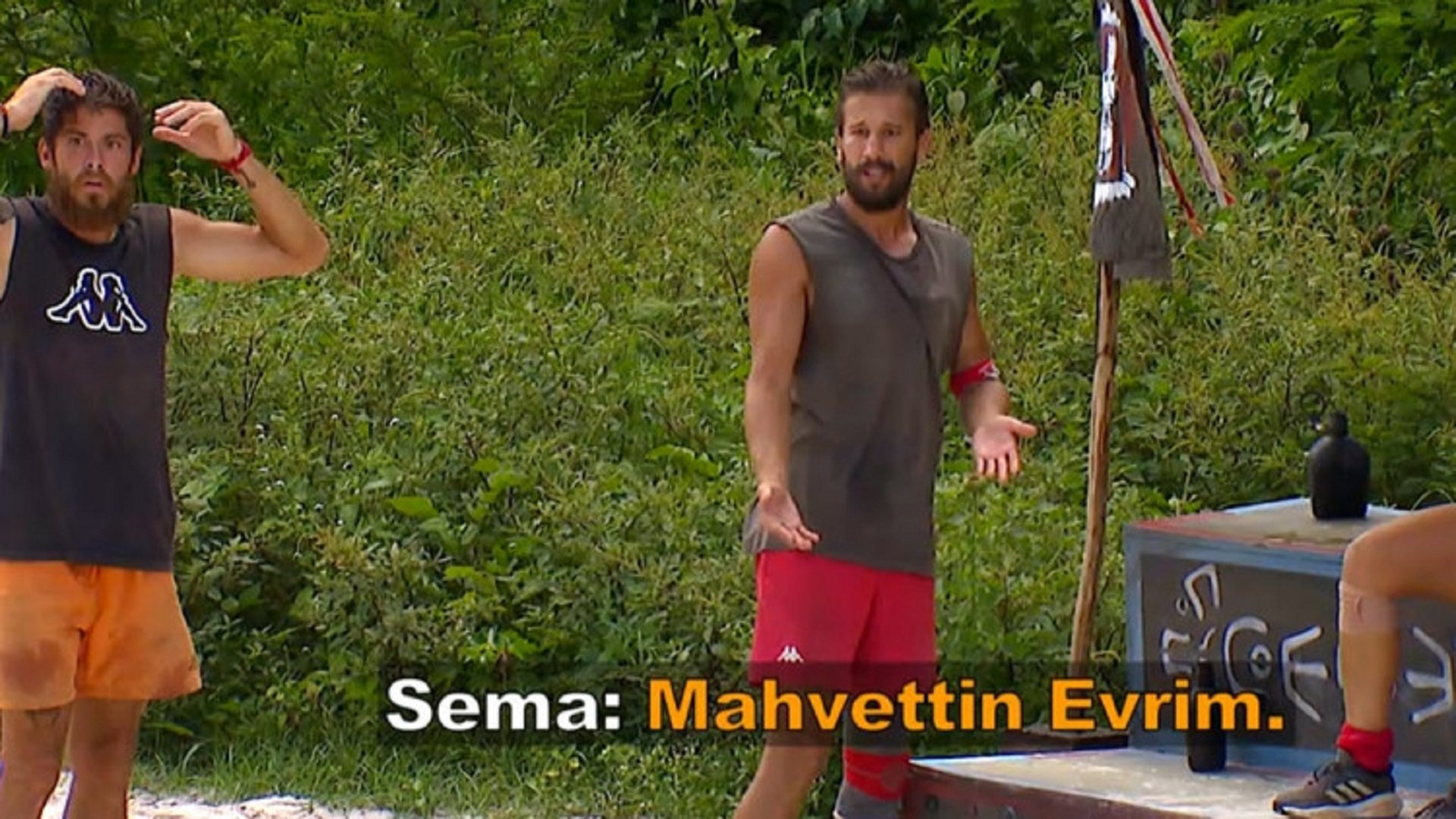 Survivor All Star