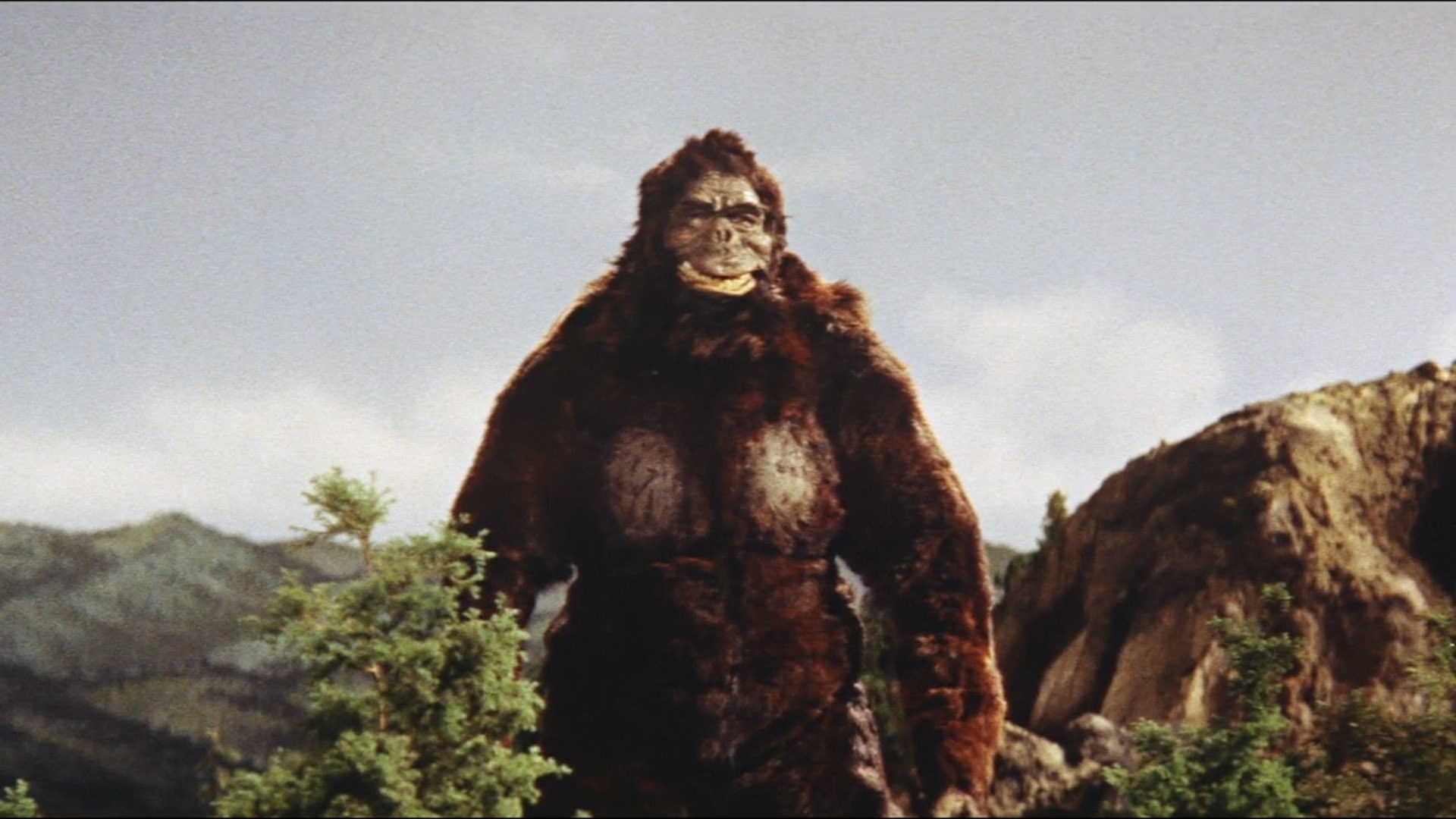 Il trionfo di King Kong