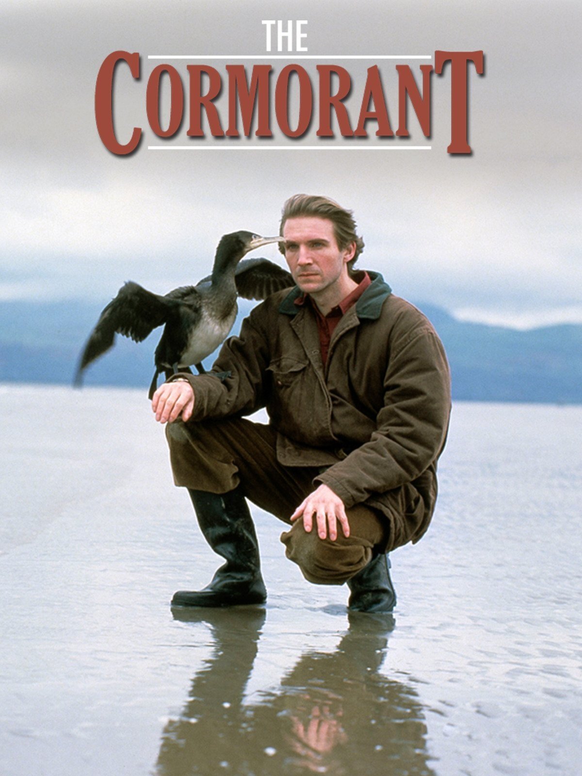 The Cormorant
