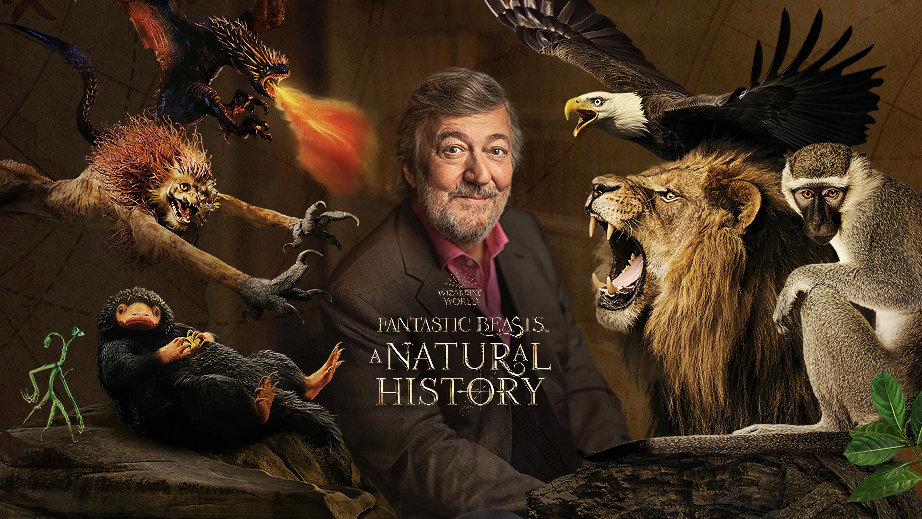 Fantastic Beasts A Natural History (2022) AZ Movies